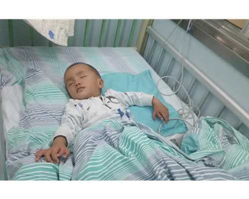 香港验血说胎儿是男孩 准吗,记录试管婴儿“龙凤胎”全过程