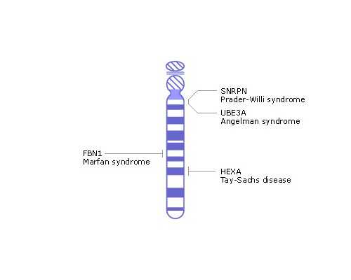 7周多香港验血y多少好,二胎备孕注意事项