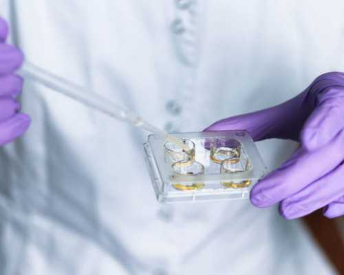 免费鉴定古玩软件,绷紧腿部肌肉能瘦腿吗