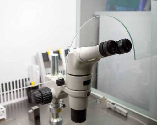 不能去香港怎么验血查性别,有香港基因化验所吗,查性别需要什么条件?