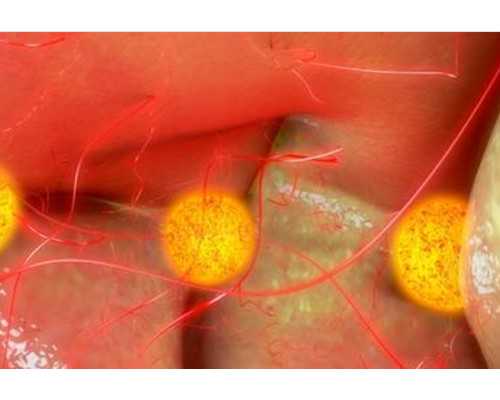 输完血多长时间能香港验血,夫妻备孕之前如何调理身体？这6个方面需格外注意