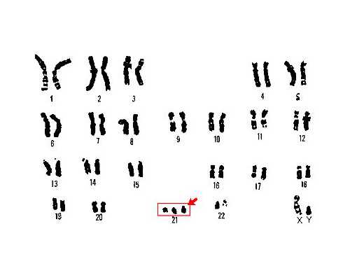 香港验血邮寄可以吗,做试管婴儿怀二胎还需要办准生证吗？