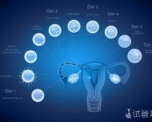 12周还能香港验血吗,怀孕45天能看出男女吗_验血查性别需要什么条件