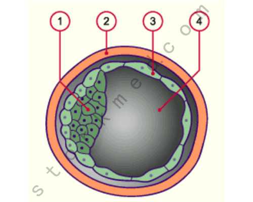 古玩元素网官方网站,脑癌扩散到肺和腿能活多长时间