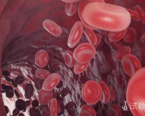 香港验血怀孕妈妈_香港验血为什么让复查_查男女你所不知道的事!