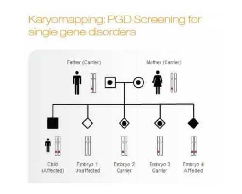 大家知道去香港验血寄血样怎么寄,我市首例冷冻胚胎试管婴儿成功妊娠