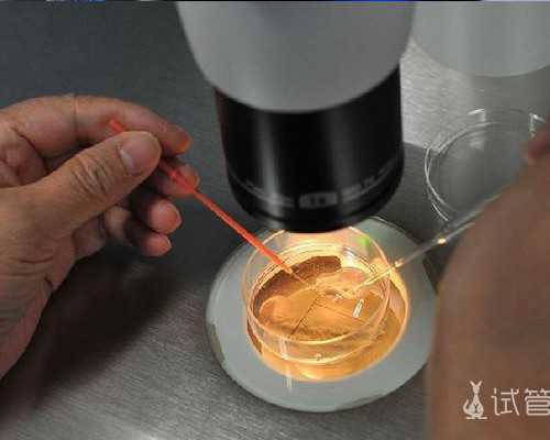 南京那里有古玩鉴定中心,李小冉是什么星座