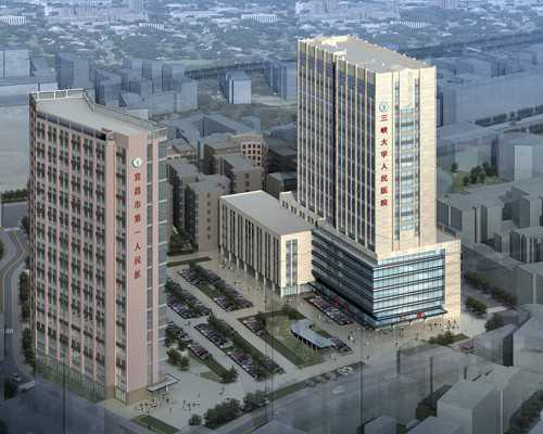 香港美亚预约 验血,香港多少天验血查男女_验血查性别,实例分享!