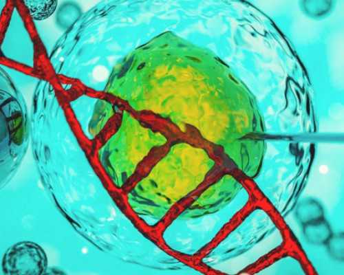 虹桥机场附近的古玩市场,一个蛋挞相当于一碗米饭 你还喜欢吃吗