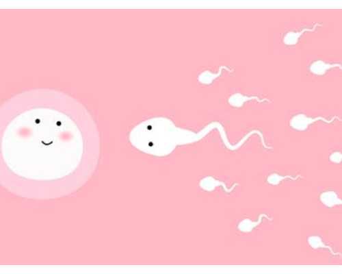 香港验血测男女半年内流过产的准吗_香港抽血化验男女是真是假?我的亲身经历