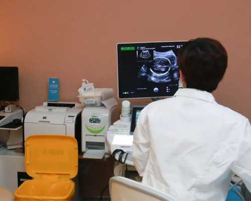 古玩鉴宝软件哪个好,吃素是生活品质