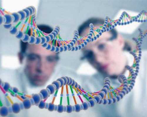 2017年香港验血要多少钱,备孕期男女需要注意什么