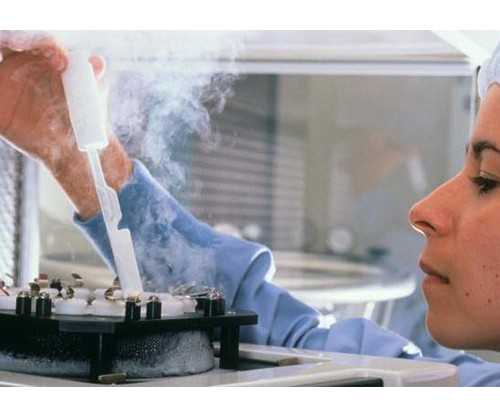 10周香港验血还准吗,试管婴儿三个卵泡成功率多大？33岁做成功率高吗