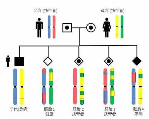 香港验血男女费用要多少钱,香港俊汇医院验血准吗_验血查性别需要什么条件