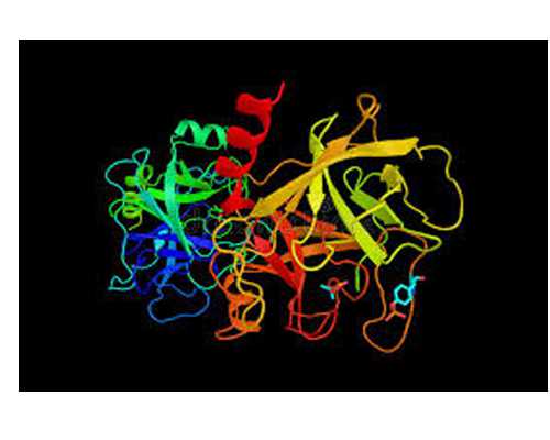 怎么预约香港诊所验血,无精症医治五年，试管后终获龙凤胎