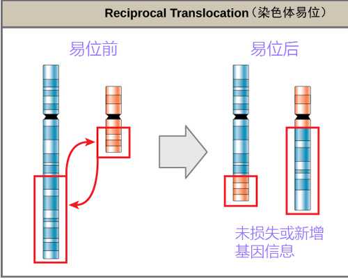 生化妊娠后怀孕香港验血,备孕梦见很多乌龟有大有小是预示怀孕了吗？