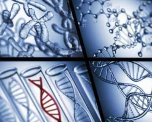 北京古玩鉴定专家青铜器,12星座在亲密关系中存在的问题