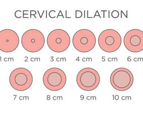 怎么看香港孕妇验血单,香港验血胎儿孕囊要多大_性别鉴定几周准确!