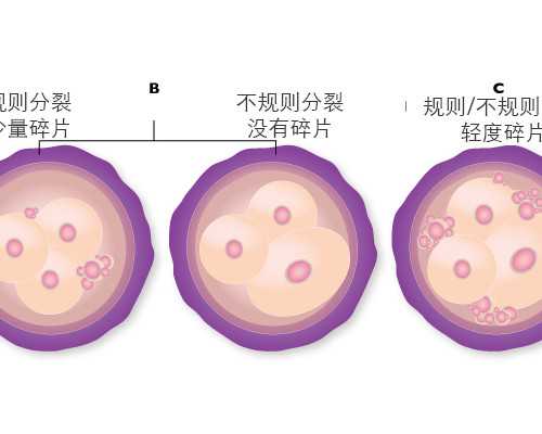 全国最大的古玩城在哪,木耳拌芹菜的做法