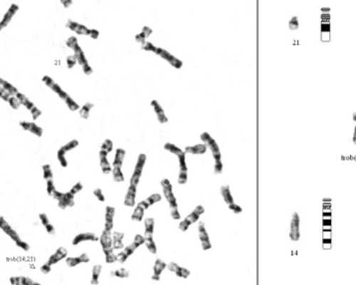 成都邮寄香港验血,备孕时，女人常吃这3种“天然孕酮”，可能有助于小宝贝“