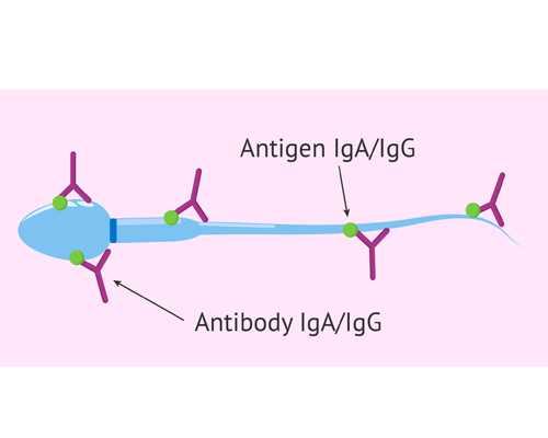 香港验血鉴定男女需要多少钱生仔,青岛香港验血_采血鉴定性别需要什么流程