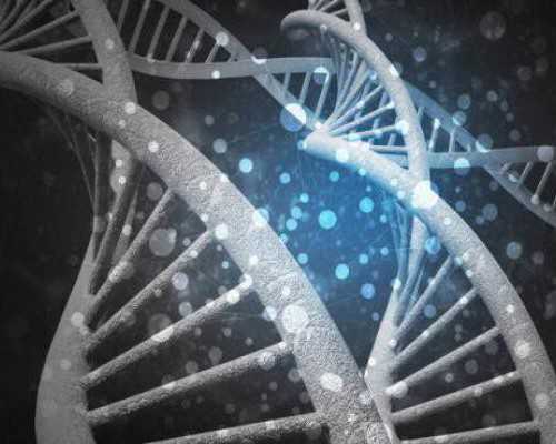 去香港验血查男女要多少钱,9周去香港验血准吗,验血查性别准不准