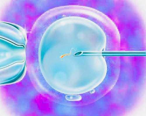 怀孕香港验血有Y_x香港验血男女_性别鉴定真的有科学依据吗!