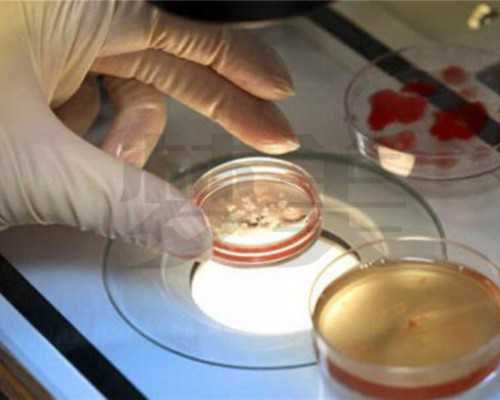 香港验血费用是多少_香港验血查性别深圳机构准不准_香港验血是不是真的_要多