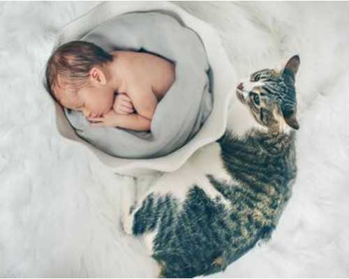 孕七周香港验血知龙凤的微信中介,备孕前3-6个月，女性朋友要做哪些准备工作