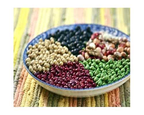 古玩虫在线观看,天蝎男追巨蟹女的方式承诺和信任