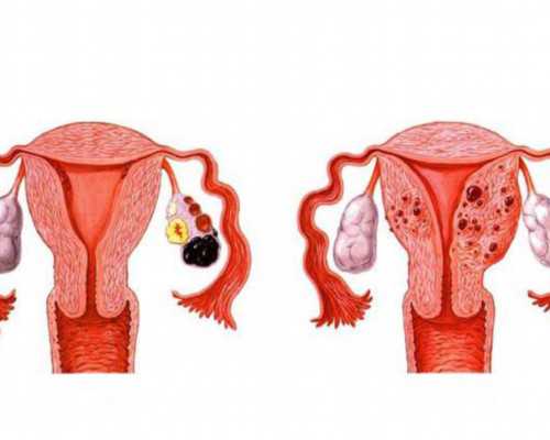 香港验血中介现在好做吗,年龄小卵巢功能佳做试管可以用短方案吗？