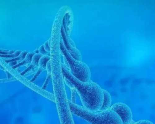 太原车站古玩城,明星私教教你塑造魔鬼身材