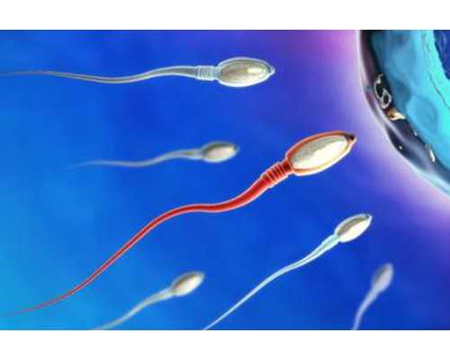 香港验血几周天涯,备孕期间能吃辣条吗 辣条真的有那么多危害吗？