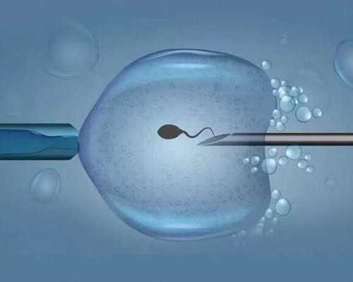 合肥供卵机构包生儿子，合肥供卵价格