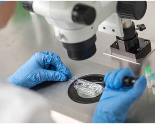 香港新安诊所验血报告_香港验血看胎儿性别准不准?你想知道的流程都在这!