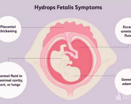 香港验血男女需要多少钱,香港验血6周条件_查性别化验所哪家准!
