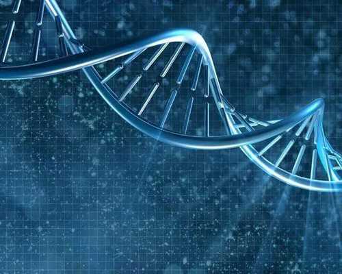 香港验血几周可以查,香港性别鉴定什么时候做,几周是最准呢