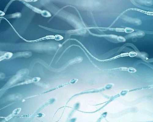 香港中介验血有出错的吗,82年大龄女性 备孕1年成功经验分享