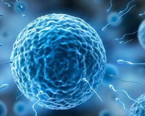 香港验血检测男女要多少钱,香港验血最早几周知男女,测胎儿性别机构哪家好