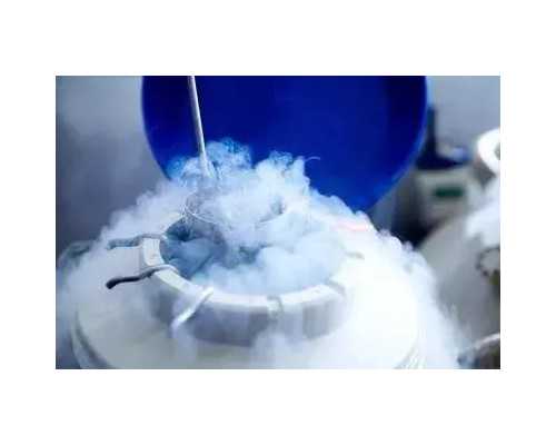 古玩市场鉴定正规吗_天天跑步为什么不见瘦？