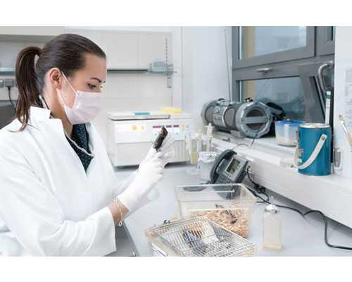 古玩私下交易卖家电话_有氧减肥操提高代谢高效减肥