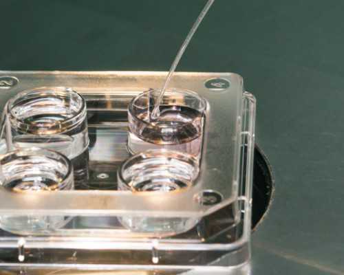 古董古玩古钱币交易微信群下载_柠檬凤爪