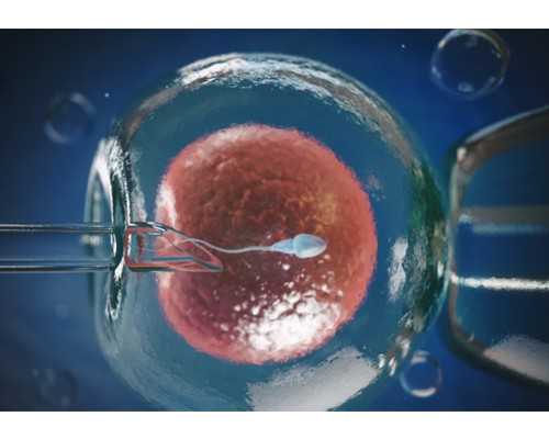 香港验血如何从官网查,泰国试管如何提取囊胚细胞进行基因检测，安全吗？