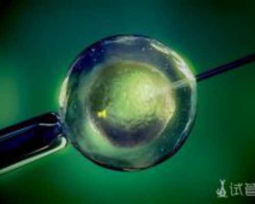 怀孕四个月香港验血,备孕要男孩能吃肉吗