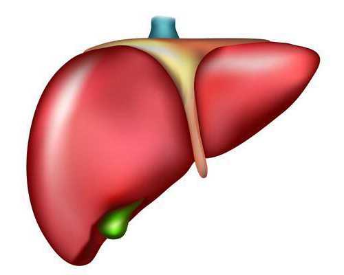 香港验血6周与7周区别,6周香港验血鉴定男女_胎儿性别鉴定会不会翻盘