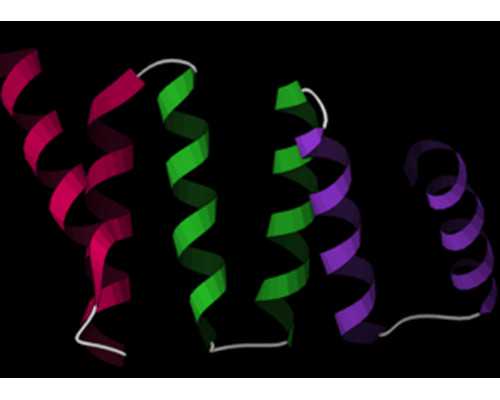 古玩虫电视剧全集5在线,双手发抖无力是什么原因
