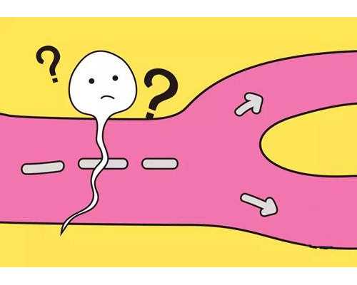 怀孕36天可以香港验血了吗_香港验血医生戴学良_查男女检测机构哪家正规!