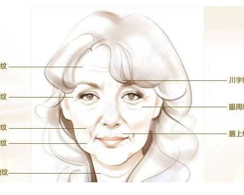 古玩后宫人生起点读书,小腿腓肠肌在哪个位置