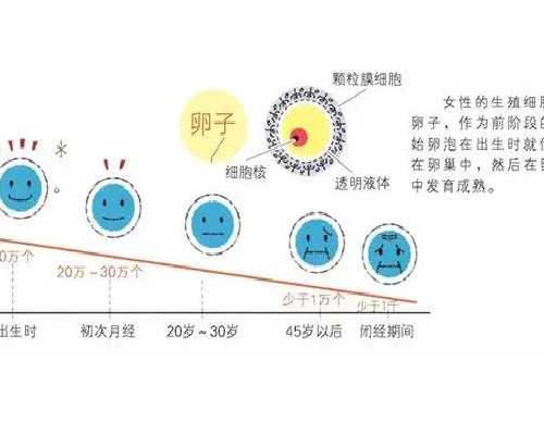 香港验血鉴定男女要多长时间,第三代试管婴儿技术可避免地中海贫血