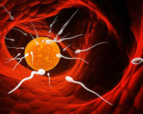 全球古董古玩免费鉴定估价,试管移植后小腹两侧总是隐隐作痛怎么办